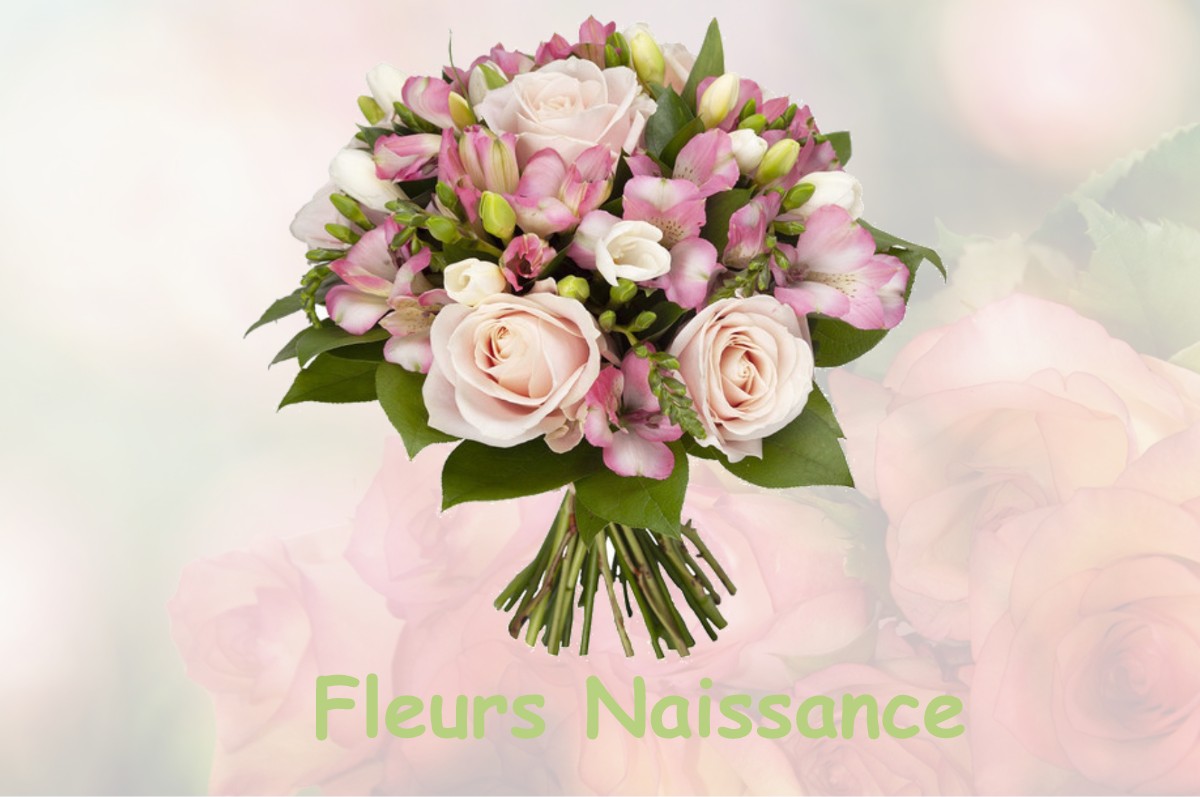 fleurs naissance LIGNY-EN-BARROIS