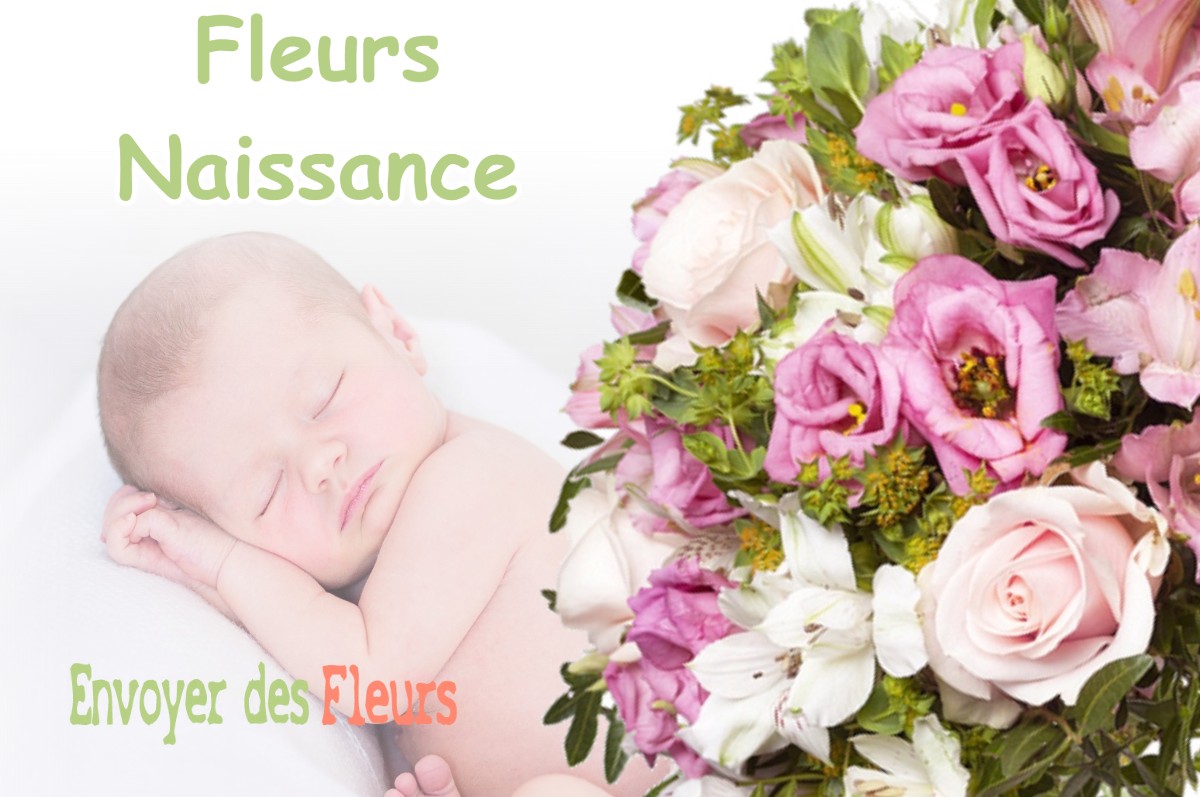 lIVRAISON FLEURS NAISSANCE à LIGNY-EN-BARROIS